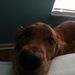 Profile Picture of Kim Stotts Pritchard (@kim9703) on Pinterest