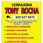 Profile Picture of Tony Adolfo Rocha Martinez (@Tony-Adolfo-Rocha-Martinez) on Facebook