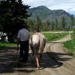 Steven Zachary - Instagram Profile Picture of Steven Zachary (@steven.zachary1) on Instagram