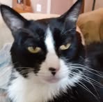 Profile Picture of Richard Wyrick (@richard.wyrick.7399) on Facebook