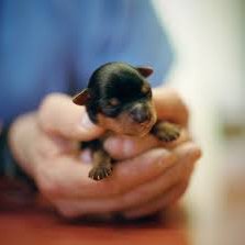 Profile Picture of Baxter Williams (@BaxterWilliams7) on Twitter