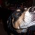 Profile Picture of Toby Bowden (@toby.bowden.58) on Facebook
