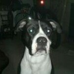 Bo Slater - Instagram Profile Picture of Bo Slater (@boslater) on Instagram