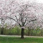 Profile Picture of Michael Guenzel (@guenzelmichael) on Instagram