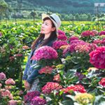 Profile Picture of 鄭妍妍 (@maki.yenyen) on Instagram