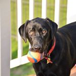 Scott Nobles - Instagram Profile Picture of Scott Nobles (@scotnbls) on Instagram