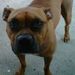 Profile Picture of Ernest Noel (@babylyssa04) on Pinterest