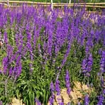 Profile Picture of Chung Wing (@chung.wing.473967) on Facebook