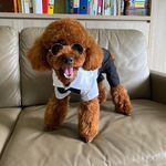Profile Picture of Eugene Lim Earn Yeow (@eugene.limey) on Instagram