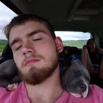 Profile Picture of Nicholas Gamroth-Roush (@gamrothroush) on Instagram