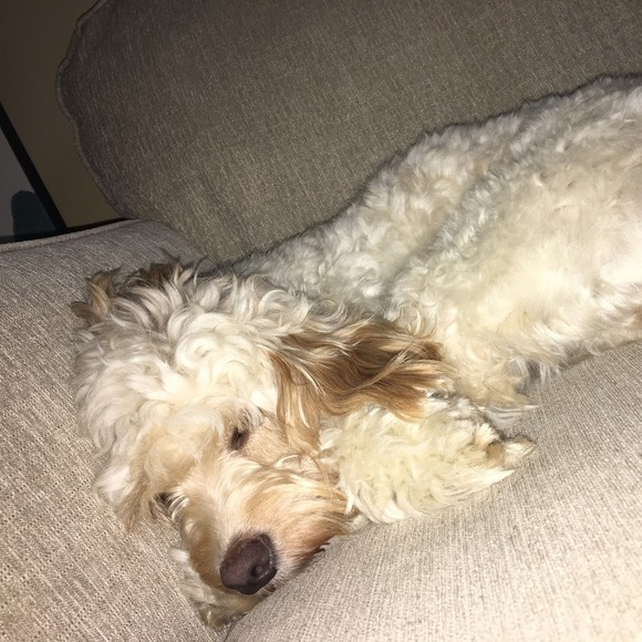 Christine Dammann - Poshmark Profile Picture of Christine Dammann (@cgdammann) on Poshmark