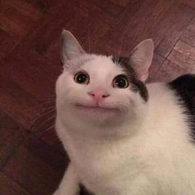 Profile Picture of Johnsens (@Johnsens13) on Twitter