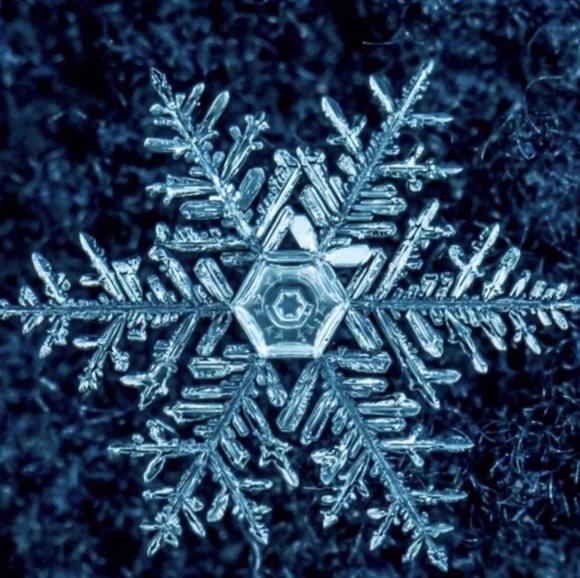 Profile Picture of Mia Mecleary (@victory_18045) on Poshmark