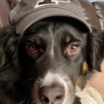 Profile Picture of Scott Hecker (@scott.hecker.75) on Facebook