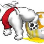 Profile Picture of Jimmy Yarbrough (@jylc2826) on Instagram