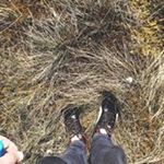 Martin Kull - Instagram Profile Picture of Martin Kull (@aklailabco) on Instagram