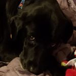 Profile Picture of Candace Noel Mitchell (@lollie4821) on Instagram