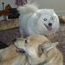 Profile Picture of Joseph Bartholomew (@joseph.bartholomew.549) on Facebook
