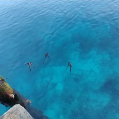 Profile Picture of Semi Sparta (@peter_semi) on Twitter