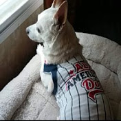 Profile Picture of Cindy Woodall (@cindywoodall3899) on Youtube