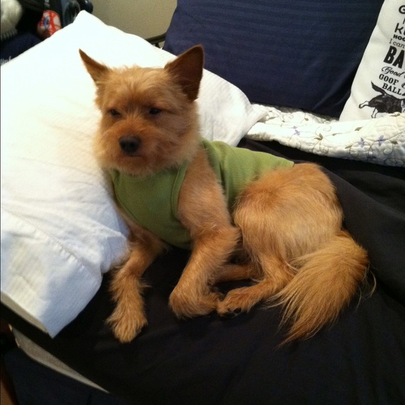 Profile Picture of Jenn Schnaidt (@jenny7810) on Poshmark