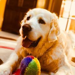 Profile Picture of Tina Harman (@tinaharman2) on Tiktok