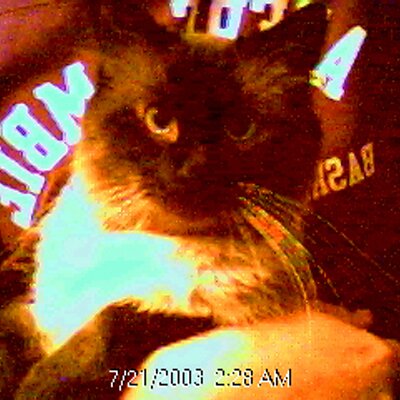 Profile Picture of Jason Nixon (@JayKnox75) on Twitter