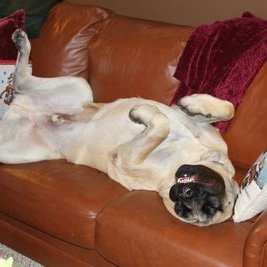 Profile Picture of Jon Mckinsey (@mckinsey_jon) on Twitter