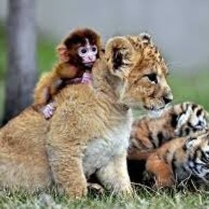 Profile Picture of Jordan Wain (@jordanwain) on Myspace