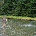 Profile Picture of Robert Askerlund (@askerlro) on Instagram