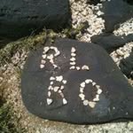 Profile Picture of Rene LaMagna (@renelamagna) on Instagram