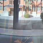 Profile Picture of Shawqi Alshaikh (@شوقي الشيخ) on Flickr