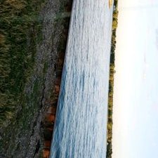 Profile Picture of Jace Charles Oates (@jace_oates) on Twitter