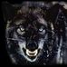 Profile Picture of Breanna Ledbetter (@breanna.ledbetter.37) on Facebook