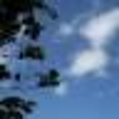 Profile Picture of Alma Barron (@barrondealma) on Twitter