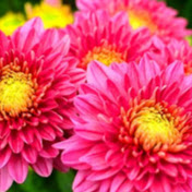 Profile Picture of JAMES VONG (@jamesvong8337) on Youtube