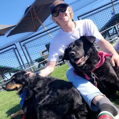 Profile Picture of Timothy Larson875 (@timothylarson8) on Tiktok