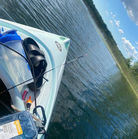 Profile Picture of Dawn Barrett (@dbear70) on Poshmark