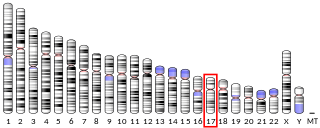 Profile Picture of Crystallin, beta A1on Wikipedia