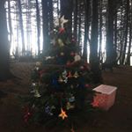 Profile Picture of Megan Griffiths (@albert_bongofun) on Instagram