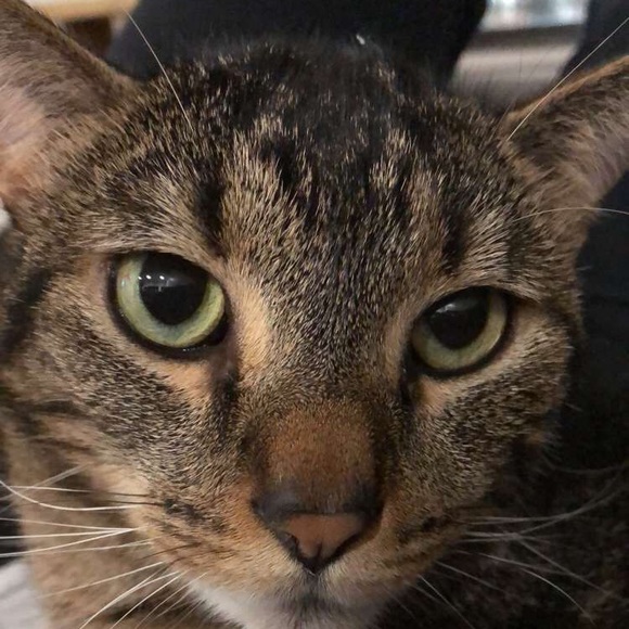 Ester Lee - Poshmark Profile Picture of Ester Lee (@ruri1190) on Poshmark