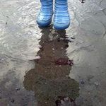 Profile Picture of Gina Byrd Dodge (@ginabdodge) on Instagram