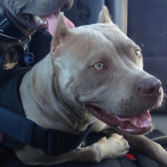 Mikki Tang - Poshmark Profile Picture of Mikki Tang (@mikkitang) on Poshmark