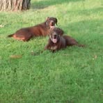 Profile Picture of Raffaele Minichiello (@raffaele.minichiello.52) on Facebook