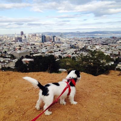 Profile Picture of Julian Scurci (@JulianScurci) on Twitter