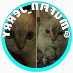 Profile Picture of The cat sisters (@muffin_jerry) on Instagram