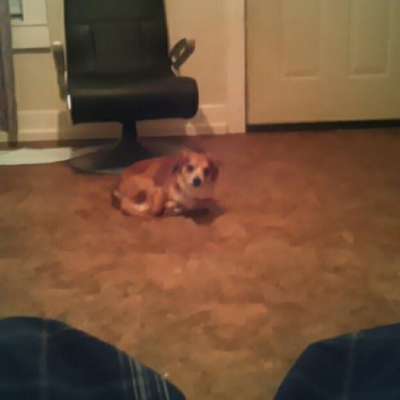 Profile Picture of Adam Bundrick (@adamtheboss23) on Poshmark