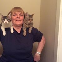 Profile Picture of Laura Ribinsky (@laura-ribinsky) on Quora