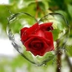 Profile Picture of Joseph Licky (@Joseph-Licky) on Facebook