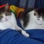 Profile Picture of Julie Sealy (@julsealy) on Instagram